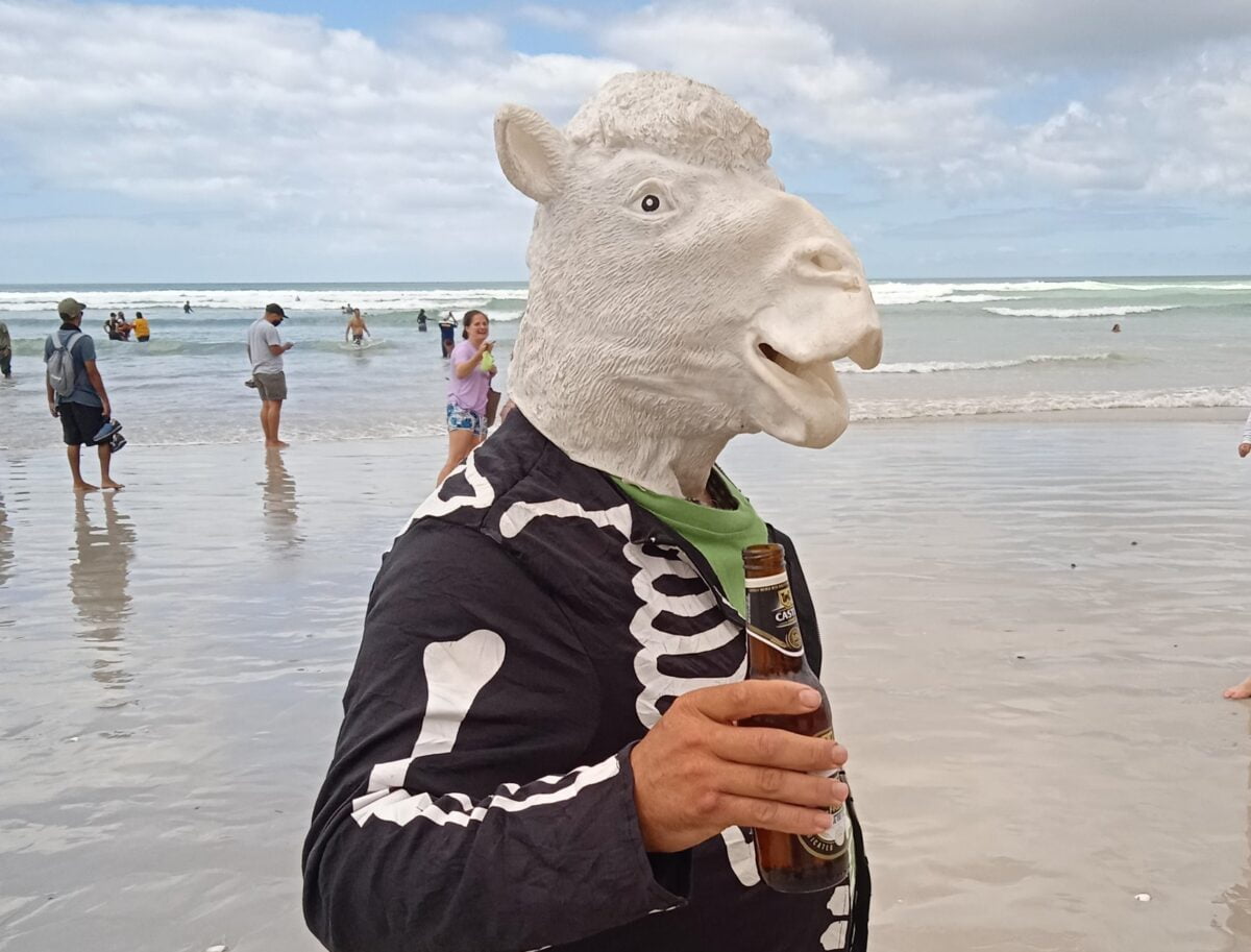 Muizenberg protester